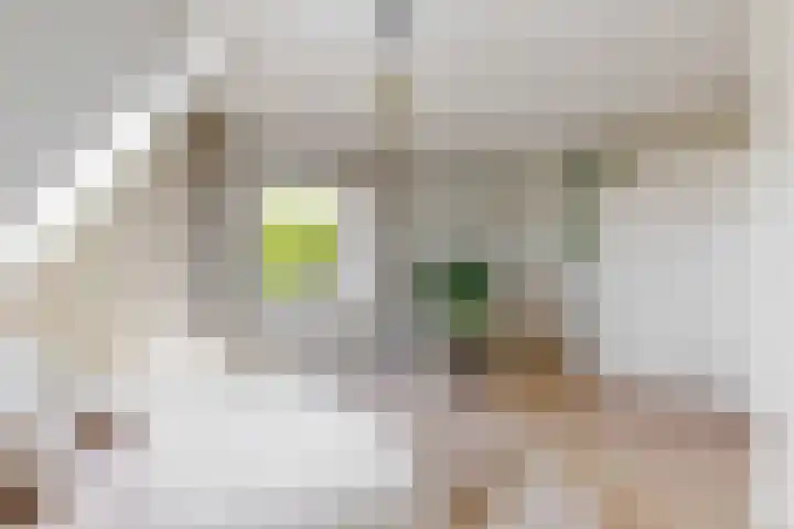Pissarrohof 29 Hoorn thumbnail 23
