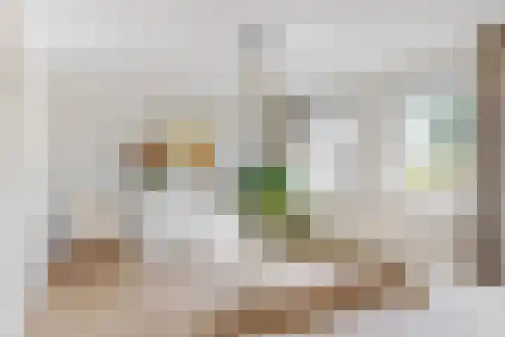 Pissarrohof 29 Hoorn thumbnail 25