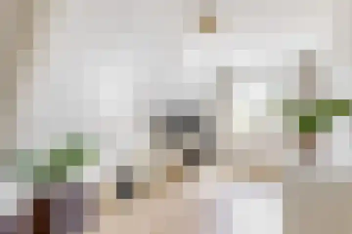 Pissarrohof 29 Hoorn thumbnail 26