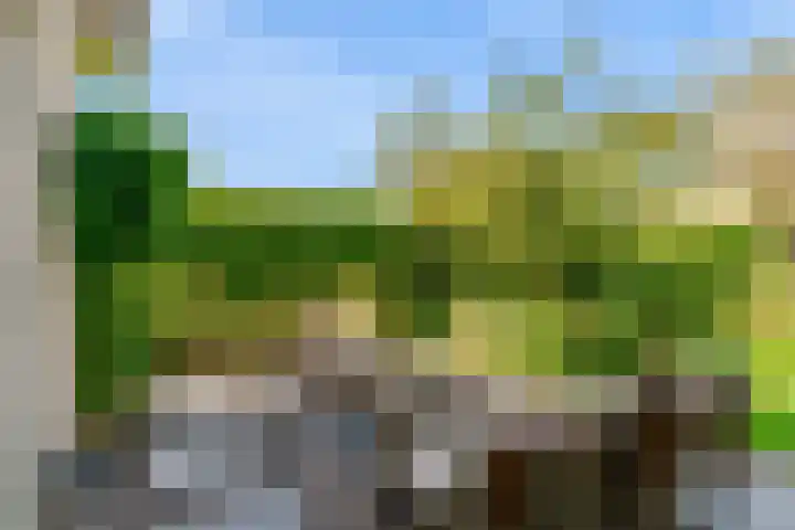 Pissarrohof 29 Hoorn thumbnail 33