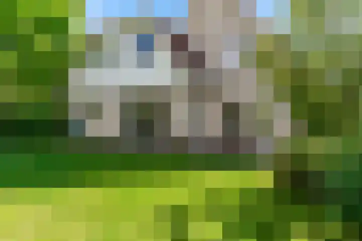 Pissarrohof 29 Hoorn thumbnail 38