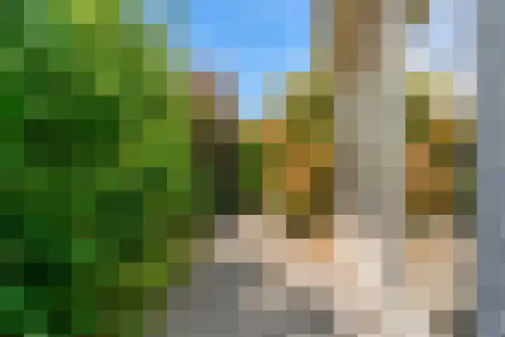 Pissarrohof 29 Hoorn thumbnail 39