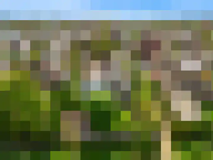 Pissarrohof 29 Hoorn thumbnail 41