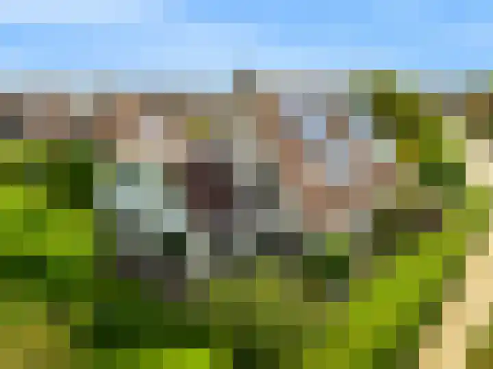 Pissarrohof 29 Hoorn thumbnail 42