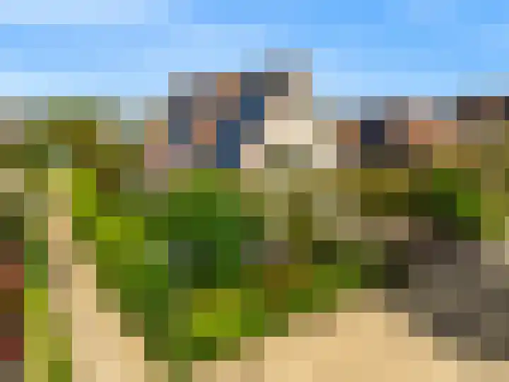 Pissarrohof 29 Hoorn thumbnail 43