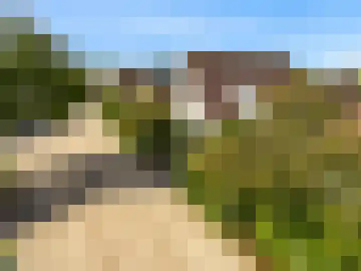 Pissarrohof 29 Hoorn thumbnail 44