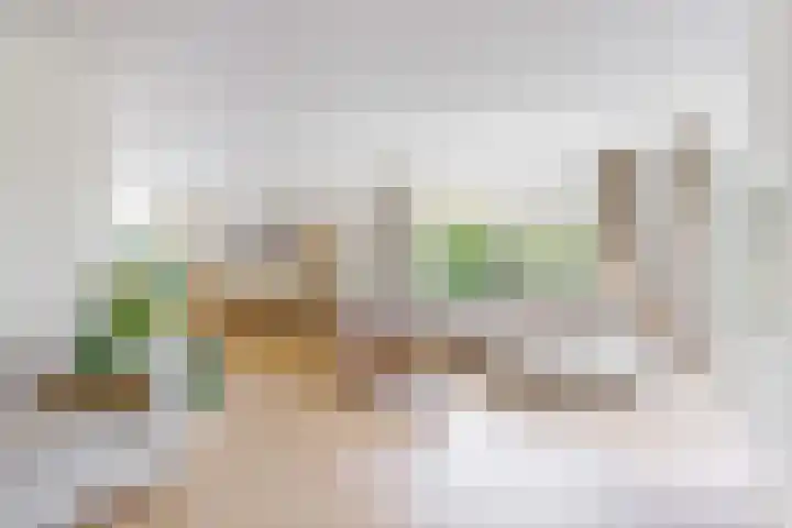 Pissarrohof 29 Hoorn thumbnail 5
