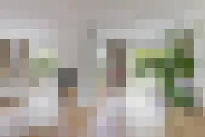 Pissarrohof 29 Hoorn thumbnail 6