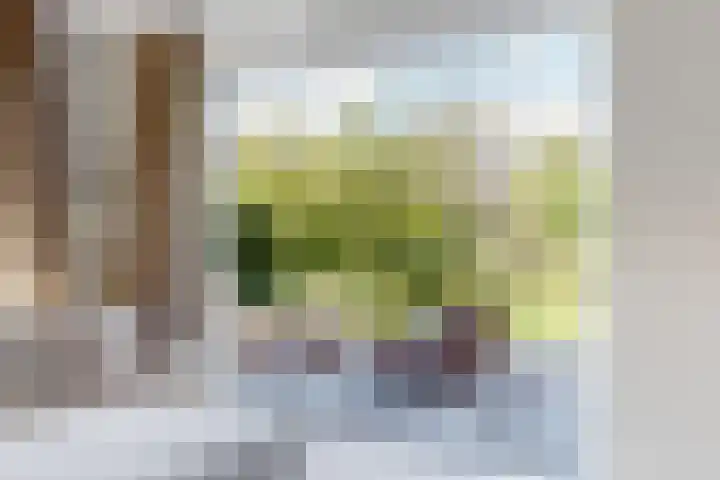Pissarrohof 29 Hoorn thumbnail 7