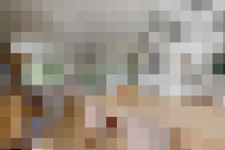 Pissarrohof 29 Hoorn thumbnail 9