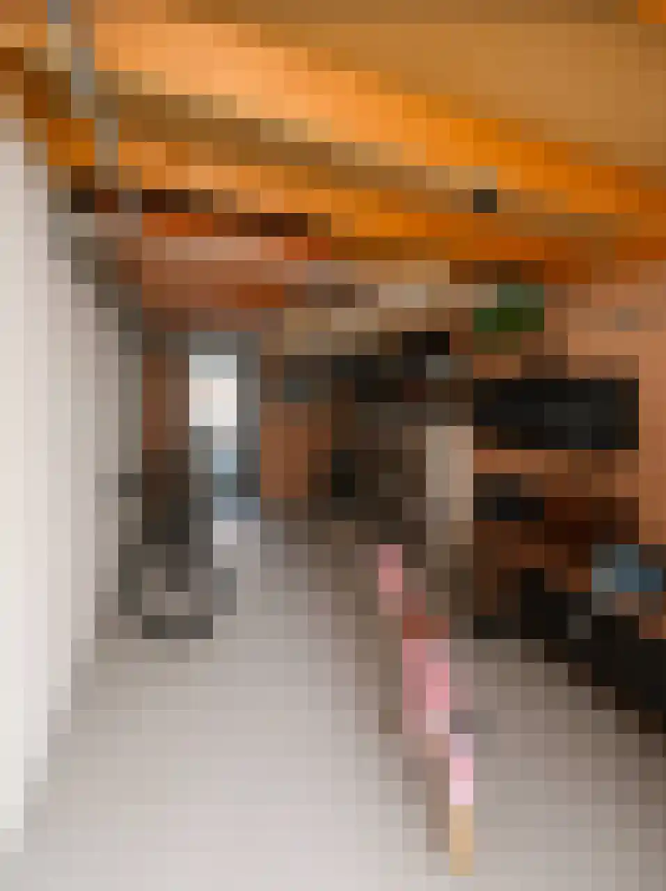 Pissarrohof 84 Hoorn thumbnail 27