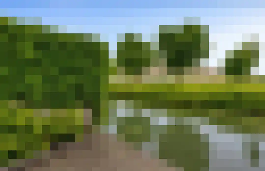 Pissarrohof 84 Hoorn thumbnail 29