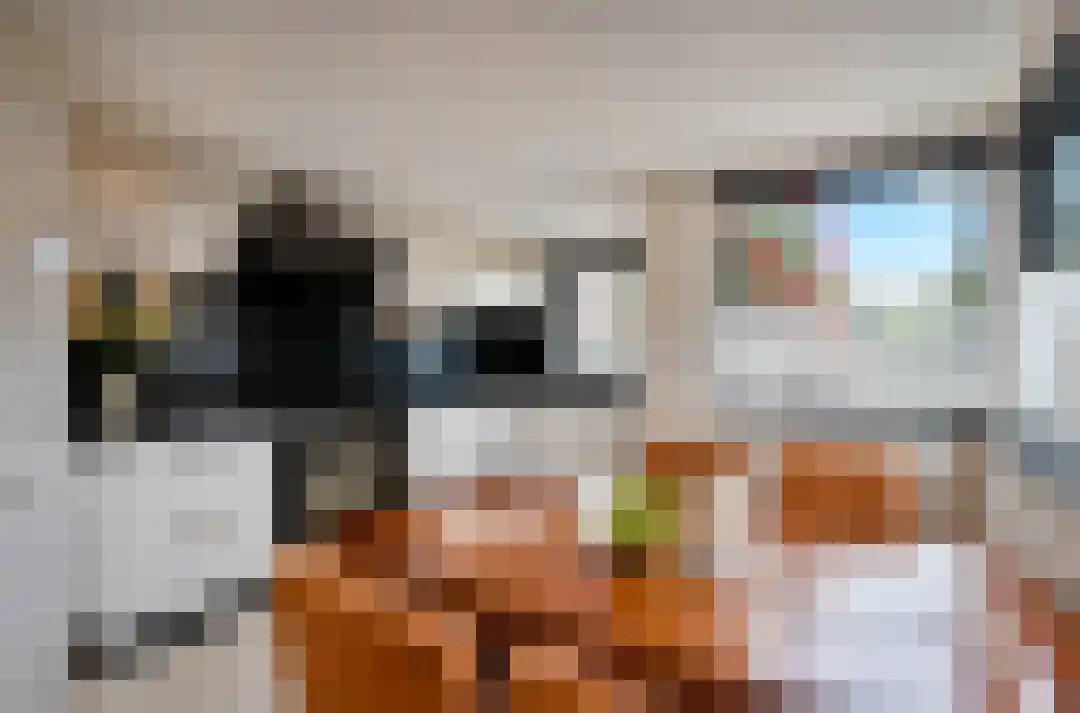Pissarrohof 84 Hoorn thumbnail 8
