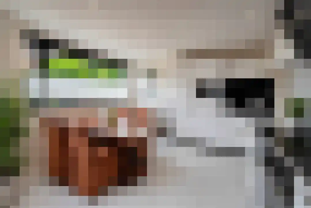 Pissarrohof 84 Hoorn thumbnail 9