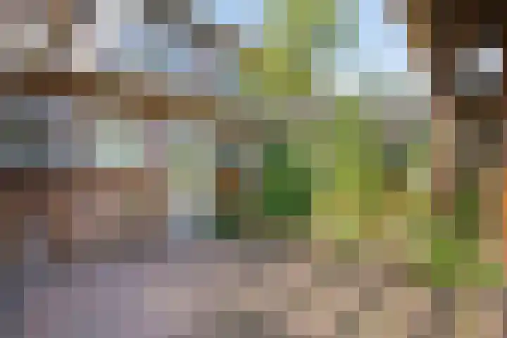 Pistoletdreef 9 Cuijk thumbnail 36