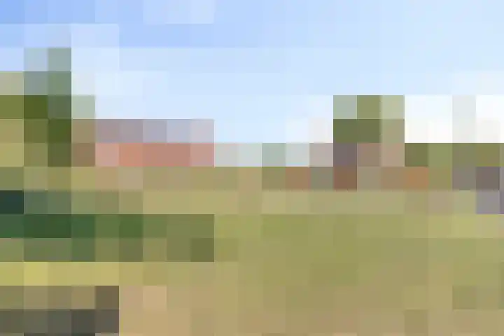 Pistoletdreef 9 Cuijk thumbnail 37