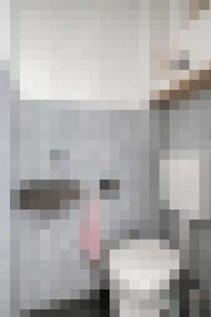 Pistoletdreef 9 Cuijk thumbnail 6