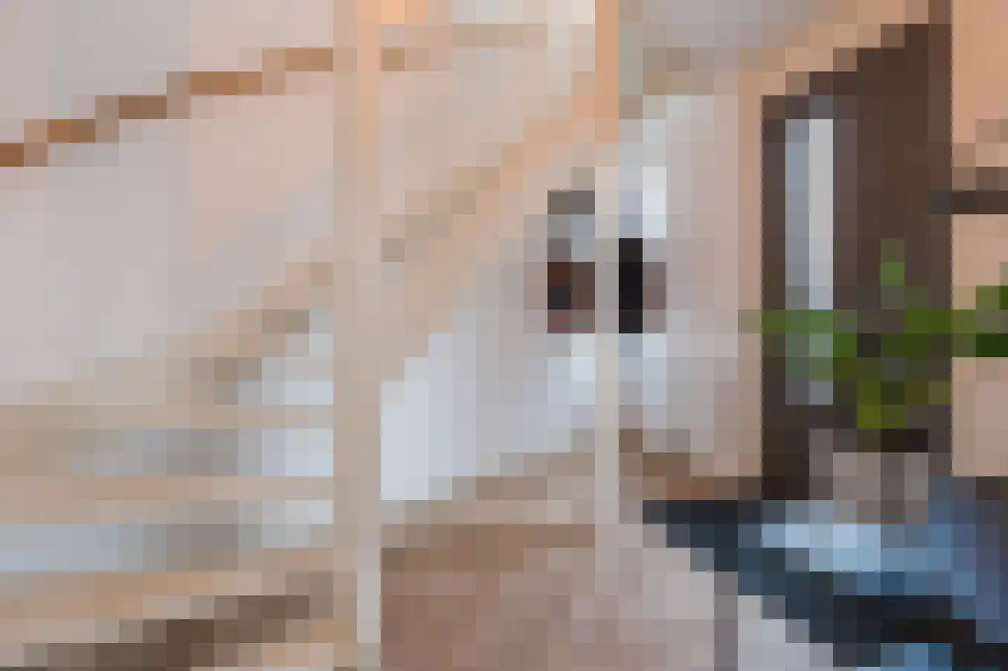 Pistoriusstraat 4 Helmond thumbnail 15