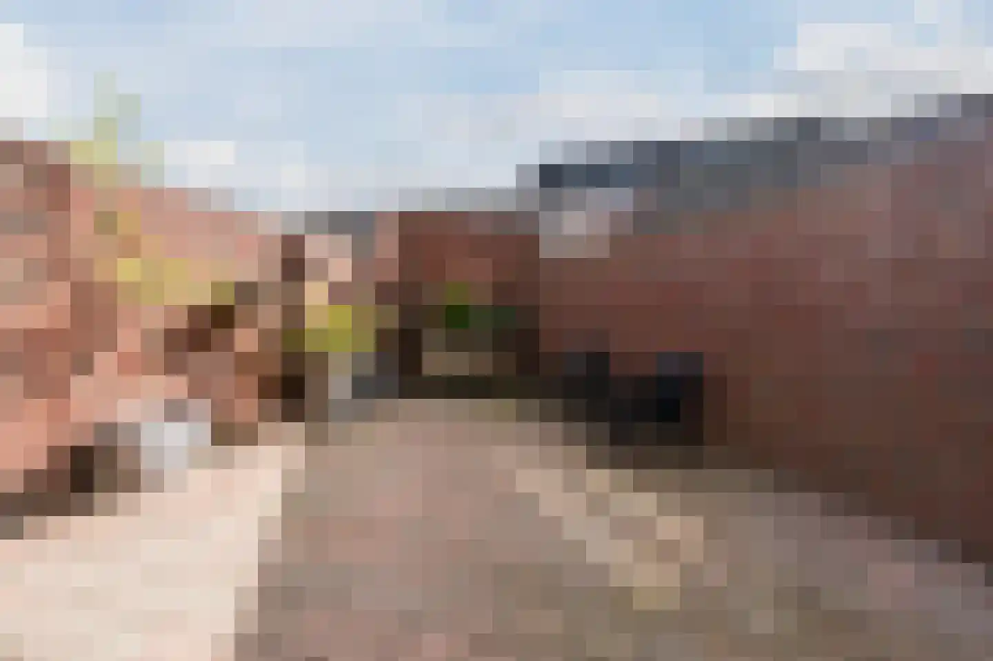 Pistoriusstraat 4 Helmond thumbnail 38