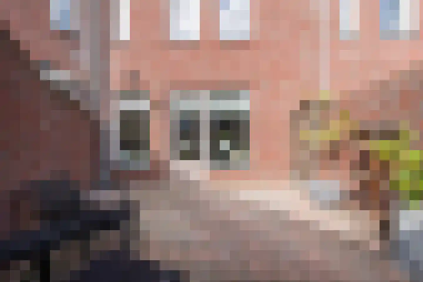 Pistoriusstraat 4 Helmond thumbnail 42