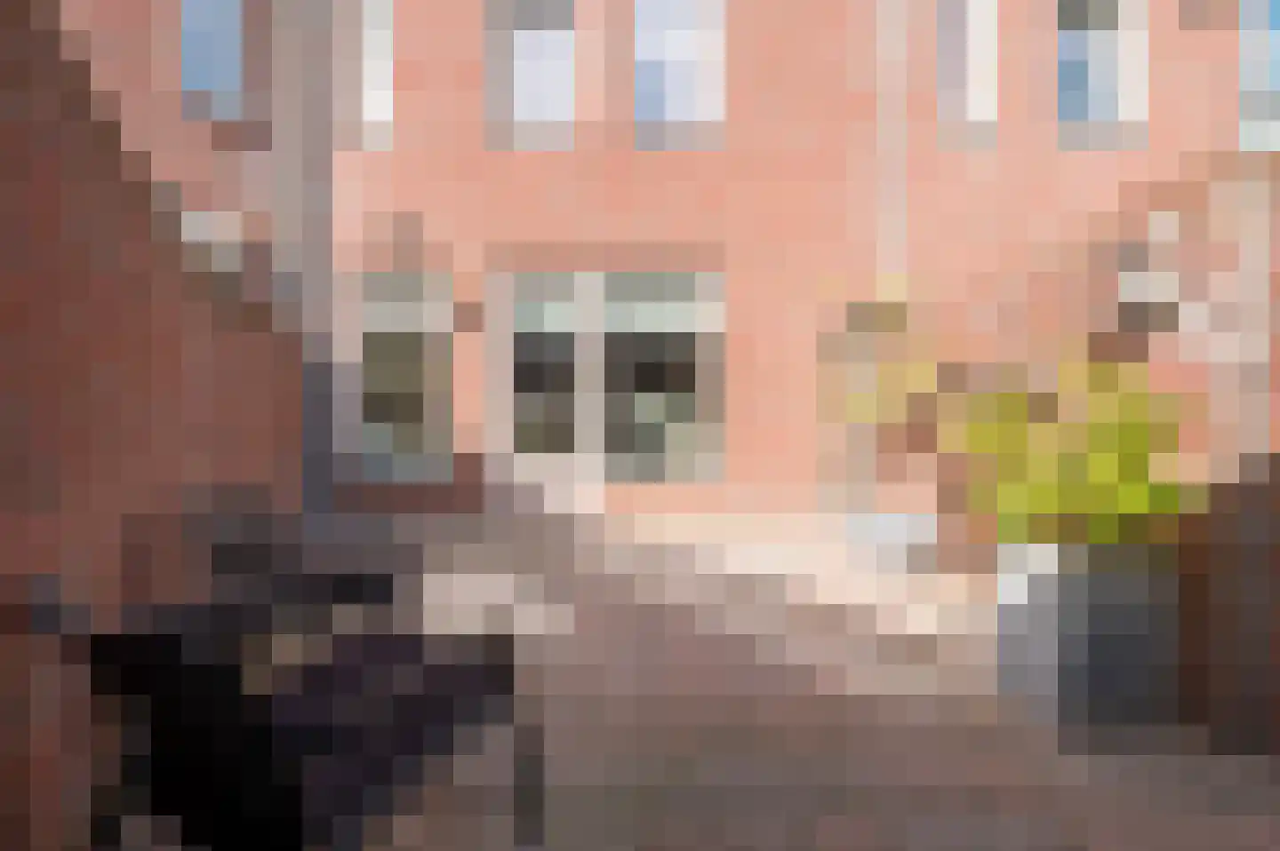 Pistoriusstraat 4 Helmond thumbnail 43