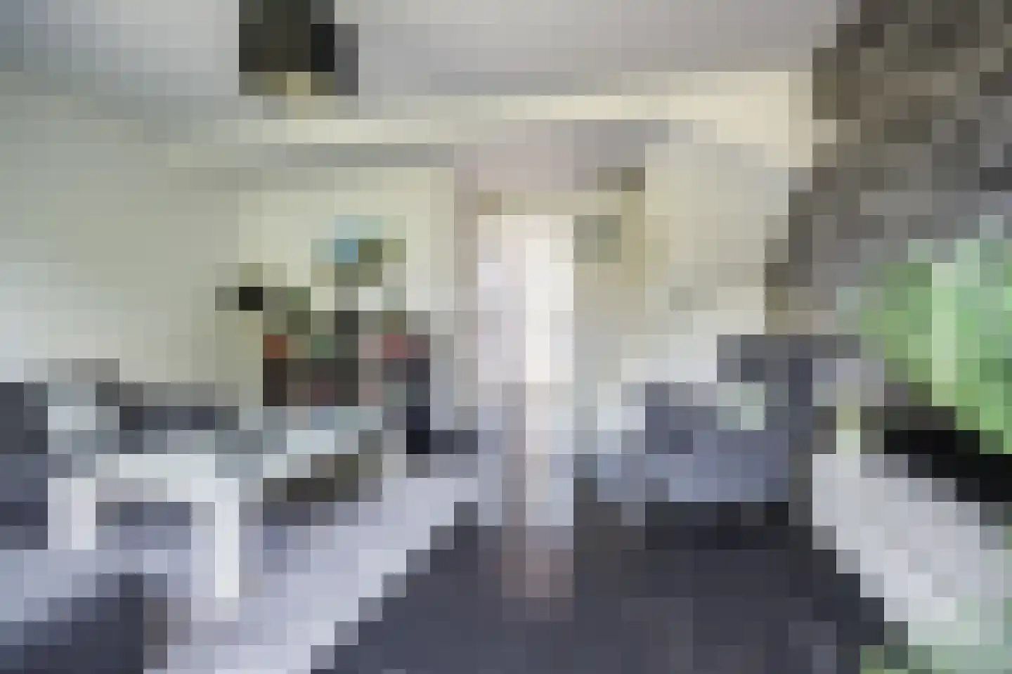 Pisuissehof 12 Amsterdam thumbnail 11