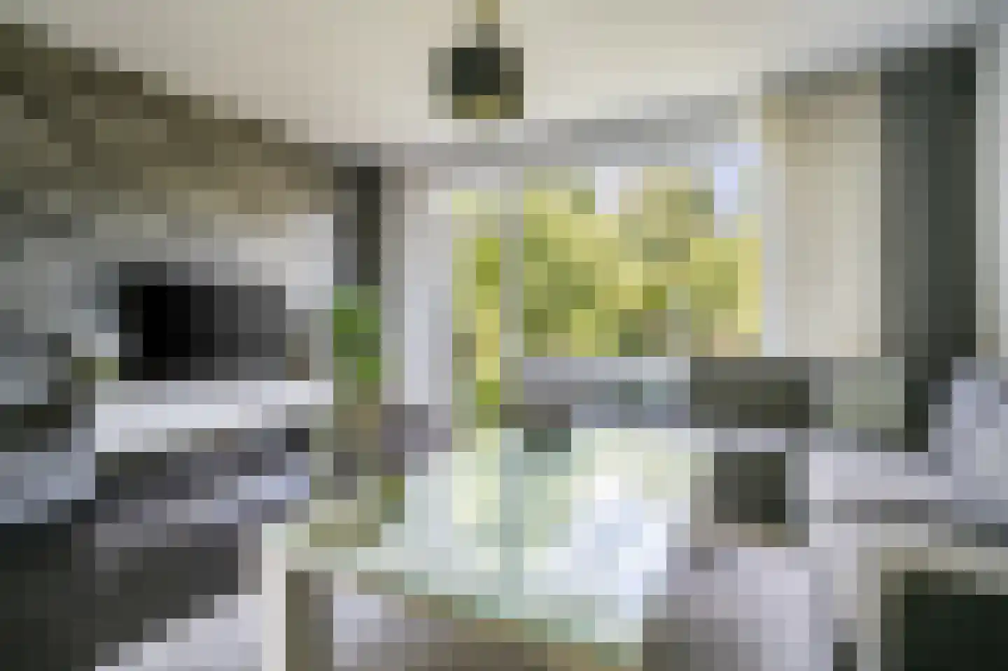 Pisuissehof 12 Amsterdam thumbnail 13