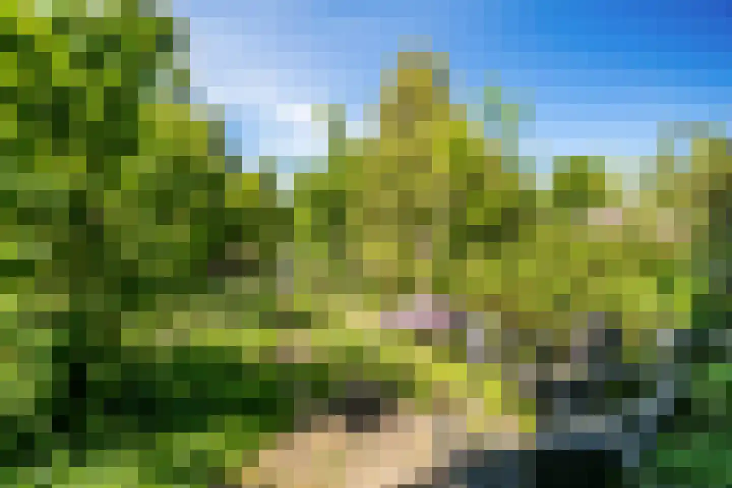 Pisuissehof 12 Amsterdam thumbnail 15