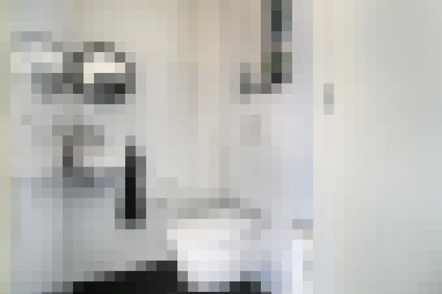 Pisuissehof 12 Amsterdam thumbnail 21