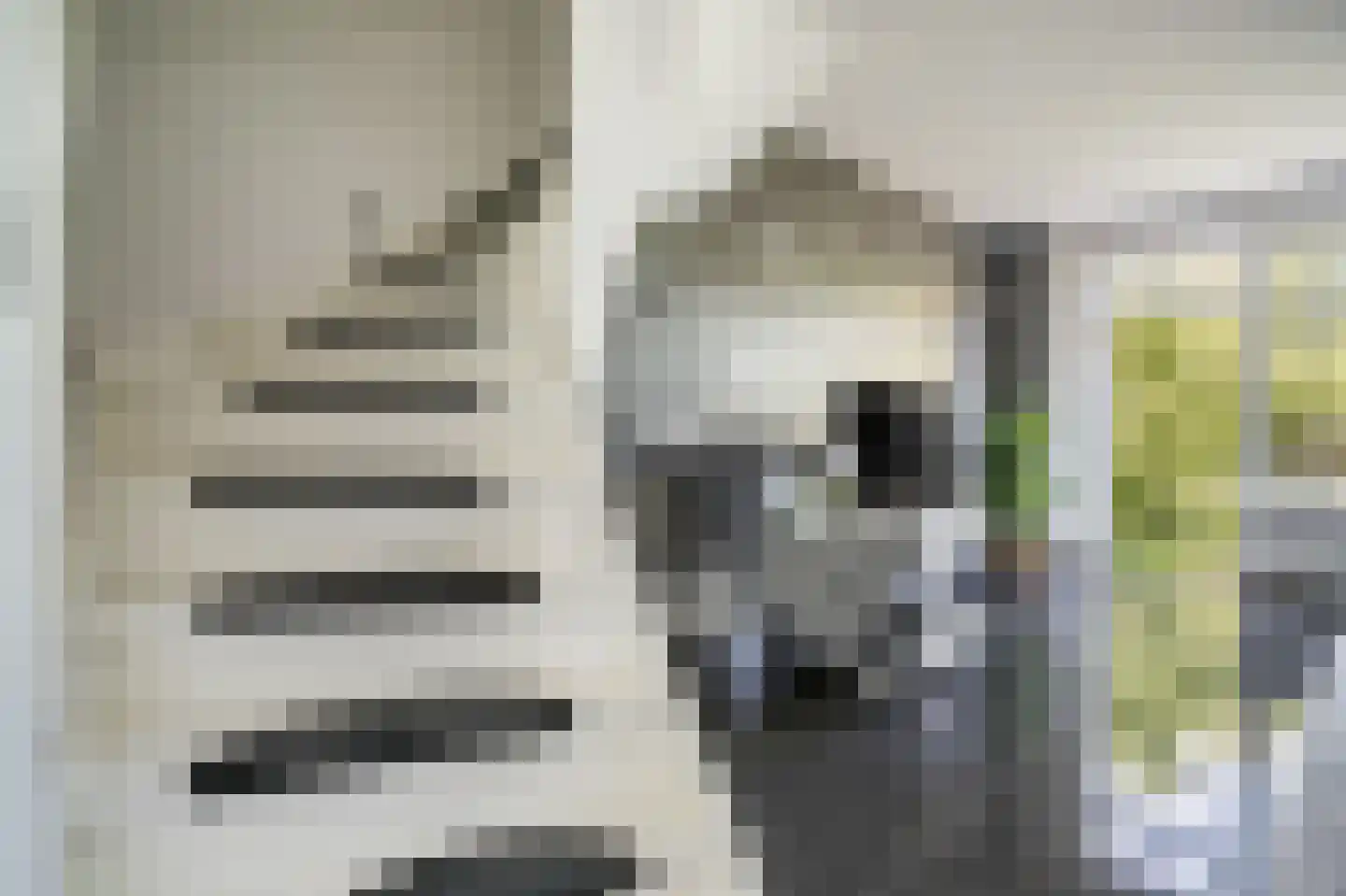 Pisuissehof 12 Amsterdam thumbnail 22