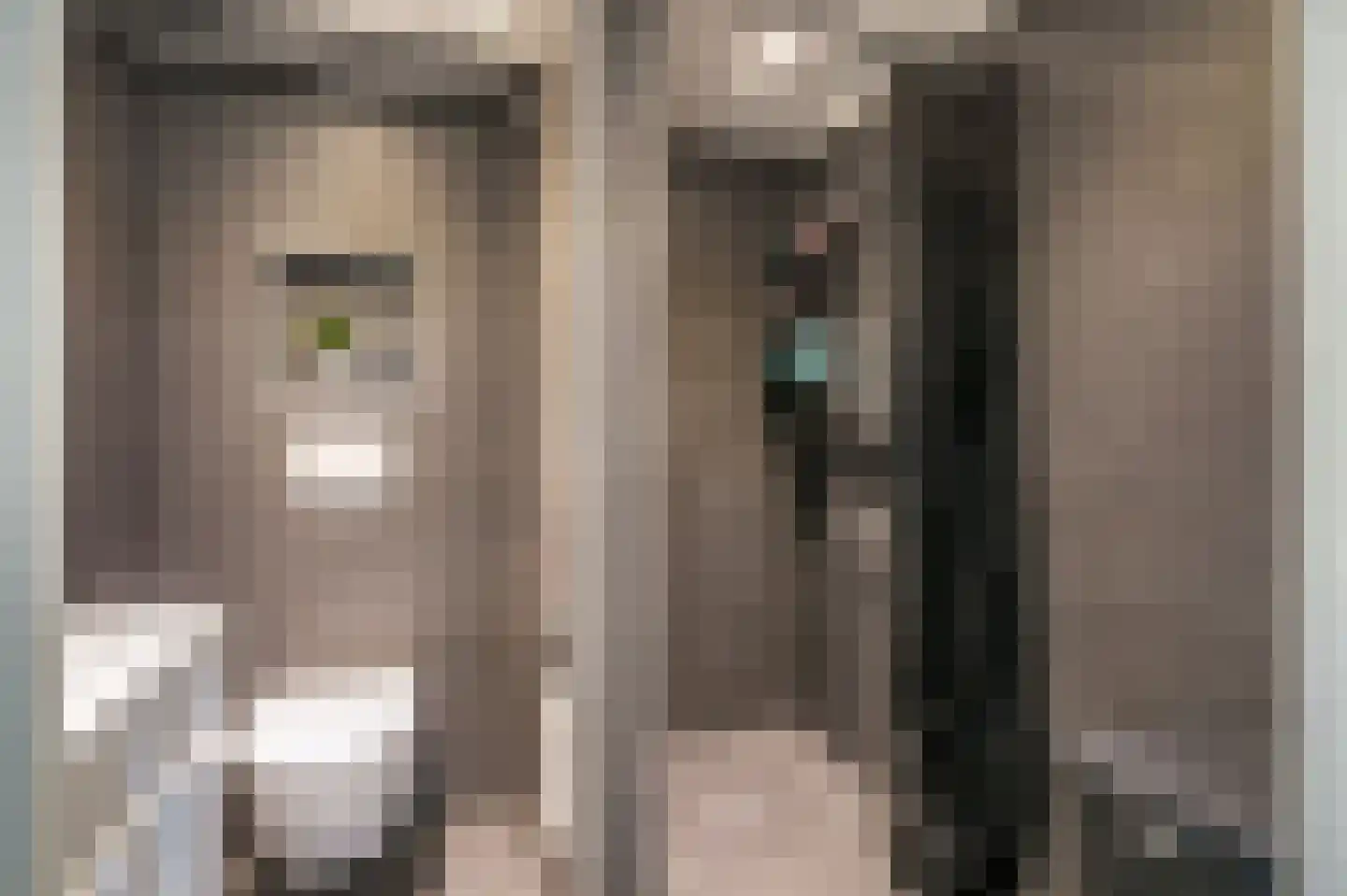 Pisuissehof 12 Amsterdam thumbnail 25
