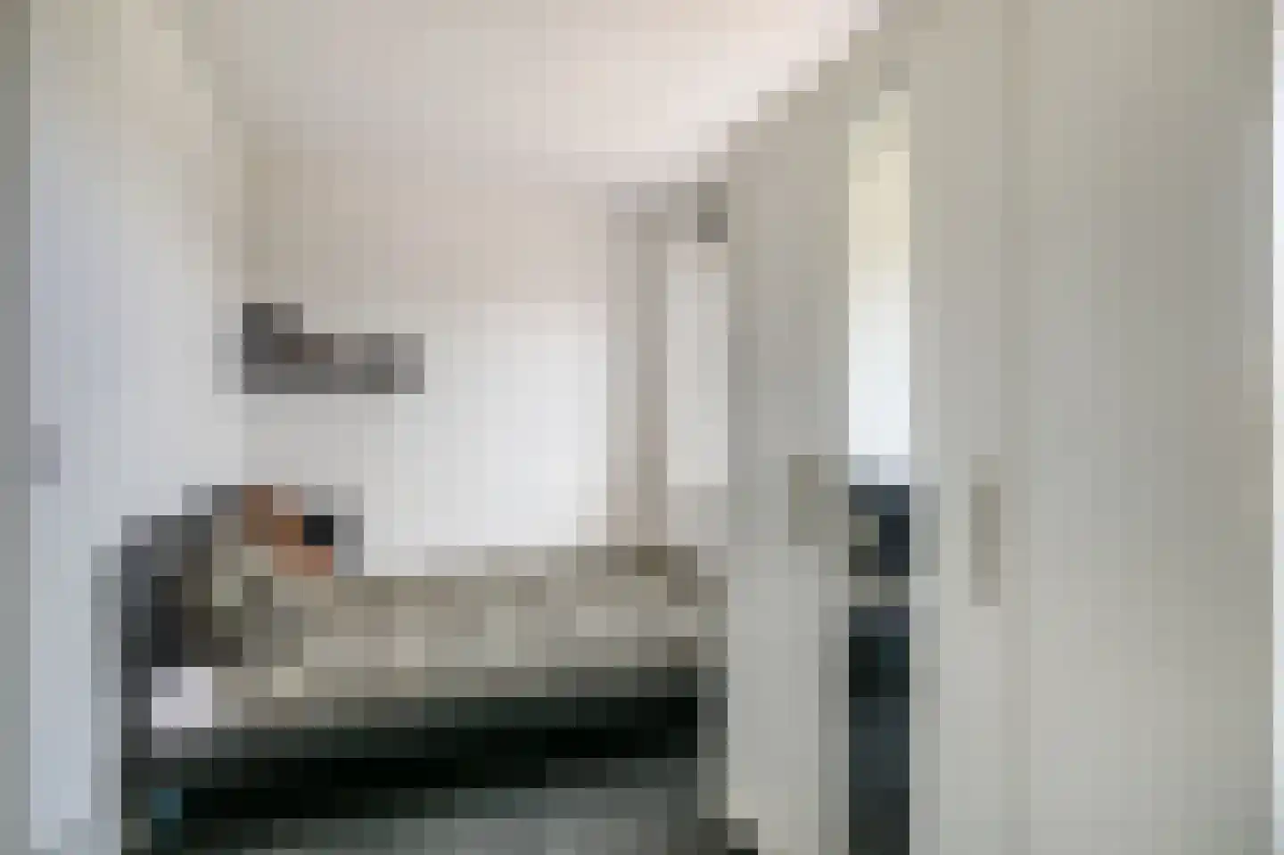 Pisuissehof 12 Amsterdam thumbnail 27