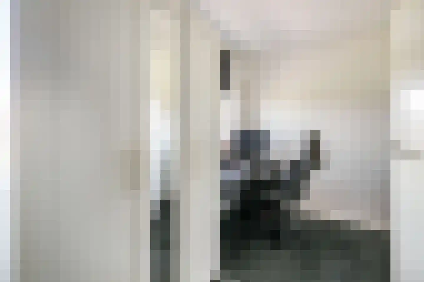 Pisuissehof 12 Amsterdam thumbnail 28