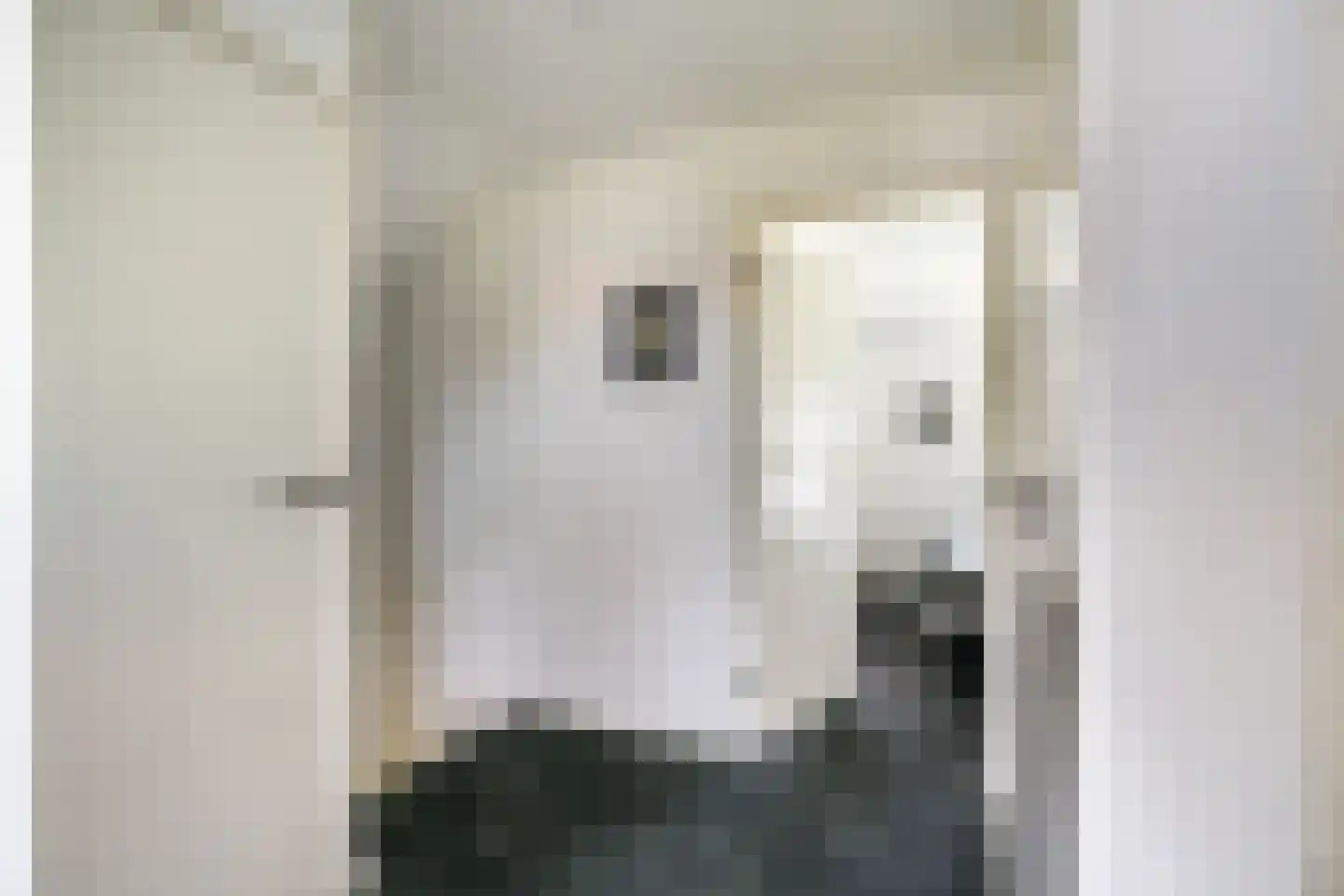 Pisuissehof 12 Amsterdam thumbnail 29