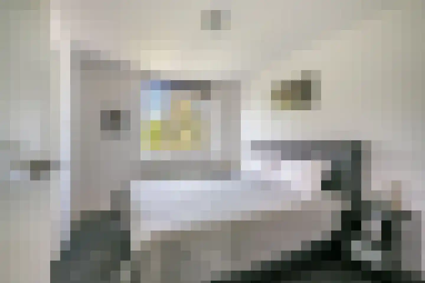 Pisuissehof 12 Amsterdam thumbnail 34