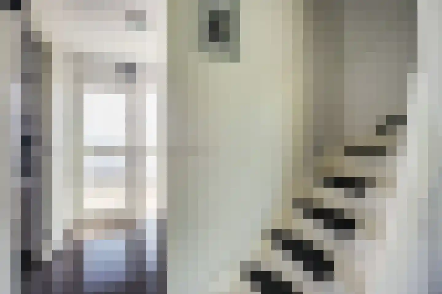 Pisuissehof 12 Amsterdam thumbnail 8