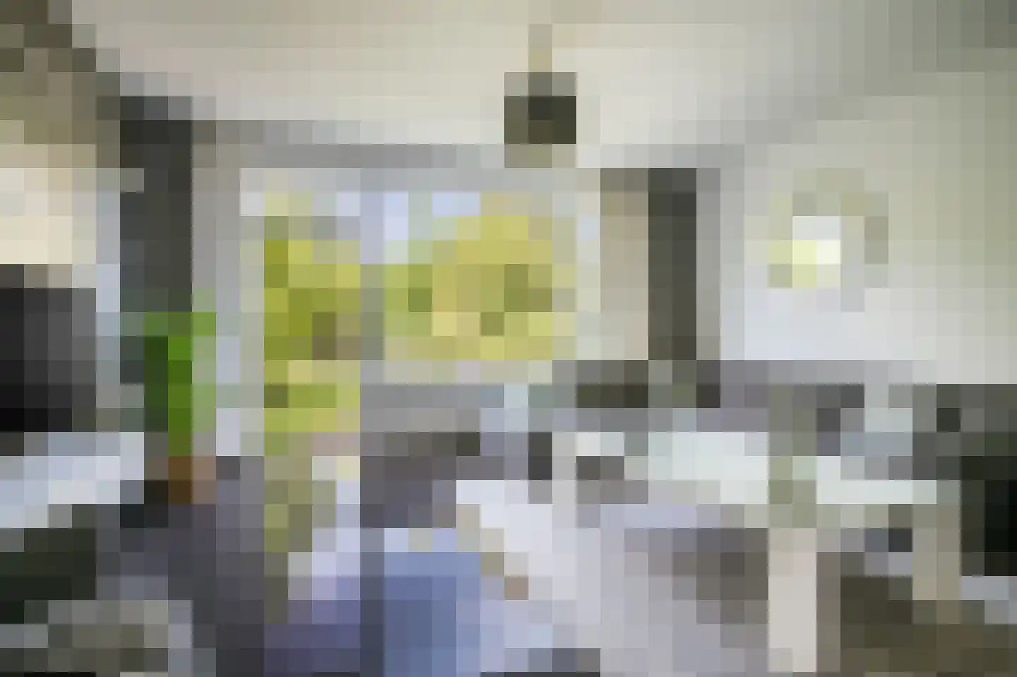 Pisuissehof 12 Amsterdam thumbnail 9
