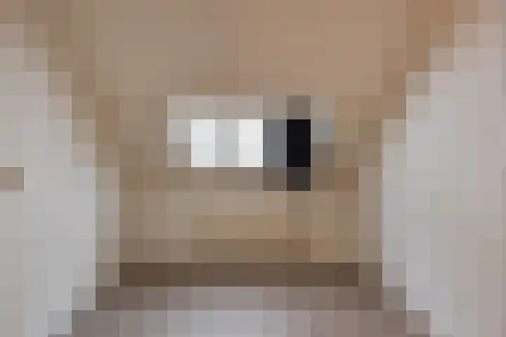 Pisuissehof 19 Amsterdam thumbnail 25