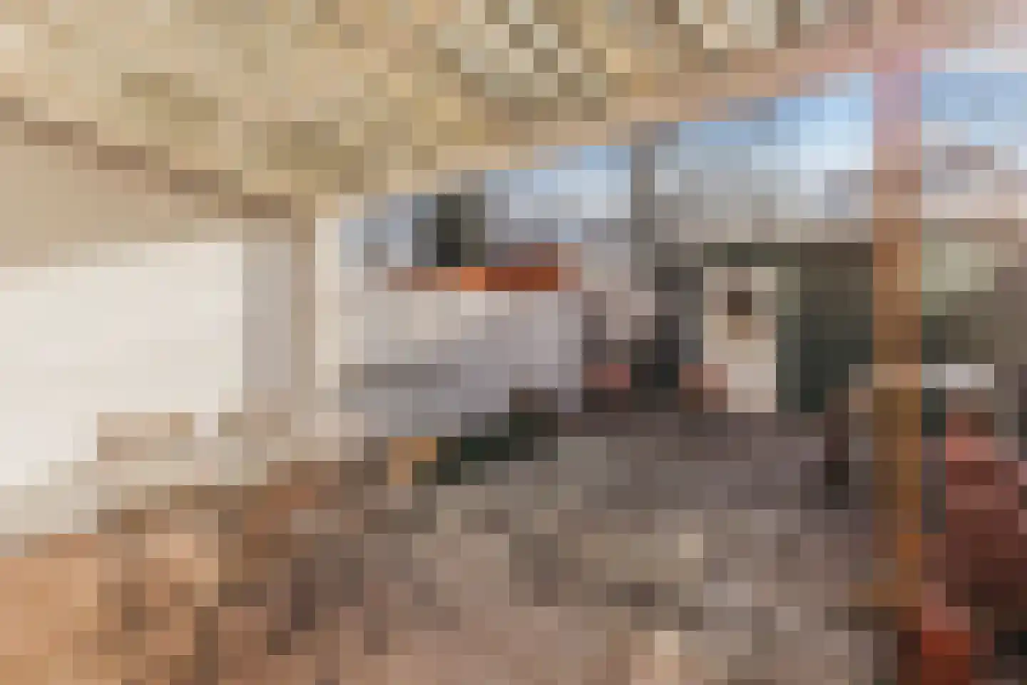 Pisuissehof 19 Amsterdam thumbnail 27