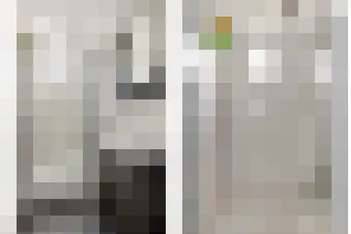Pisuissehof 19 Amsterdam thumbnail 5