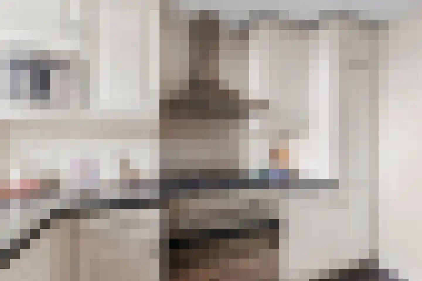 Pisuissehof 19 Amsterdam thumbnail 8