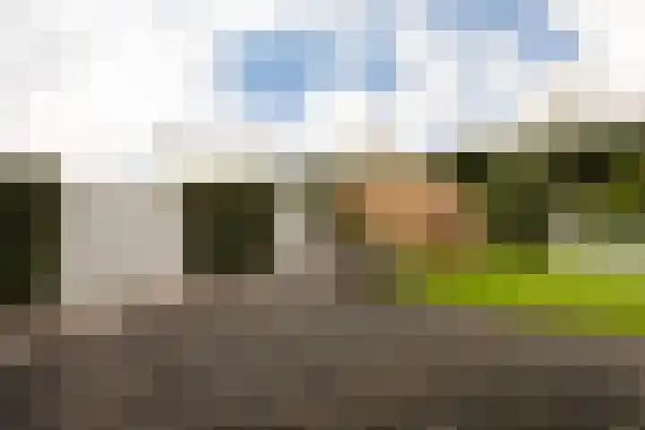 Pisuissehof 19 Amsterdam thumbnail 9