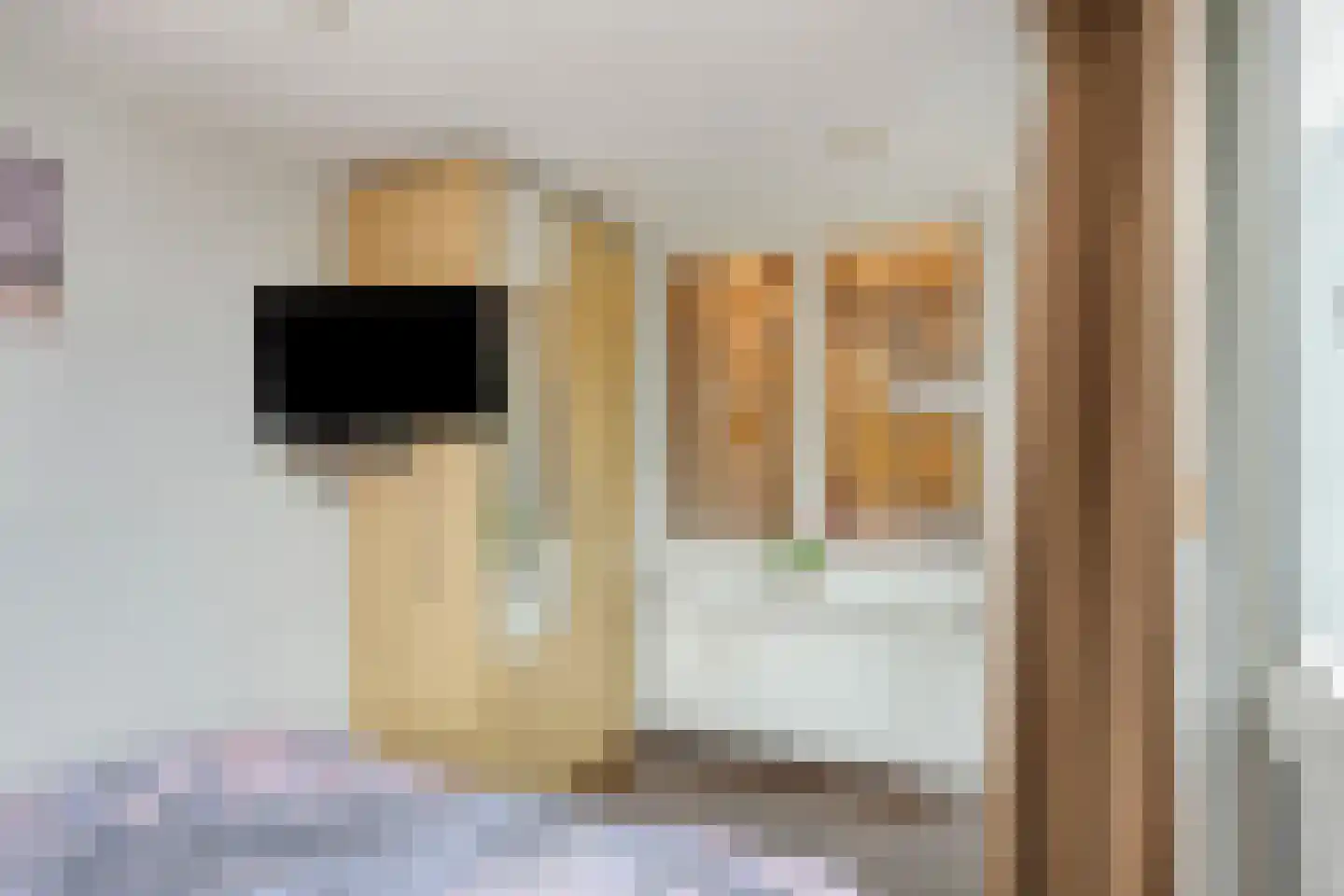 Pisuissestraat 105 Den Haag thumbnail 24