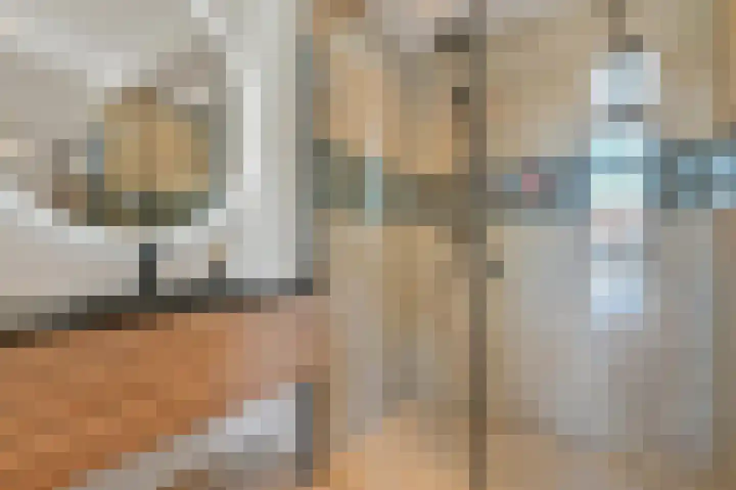 Pisuissestraat 35 Den Haag thumbnail 21