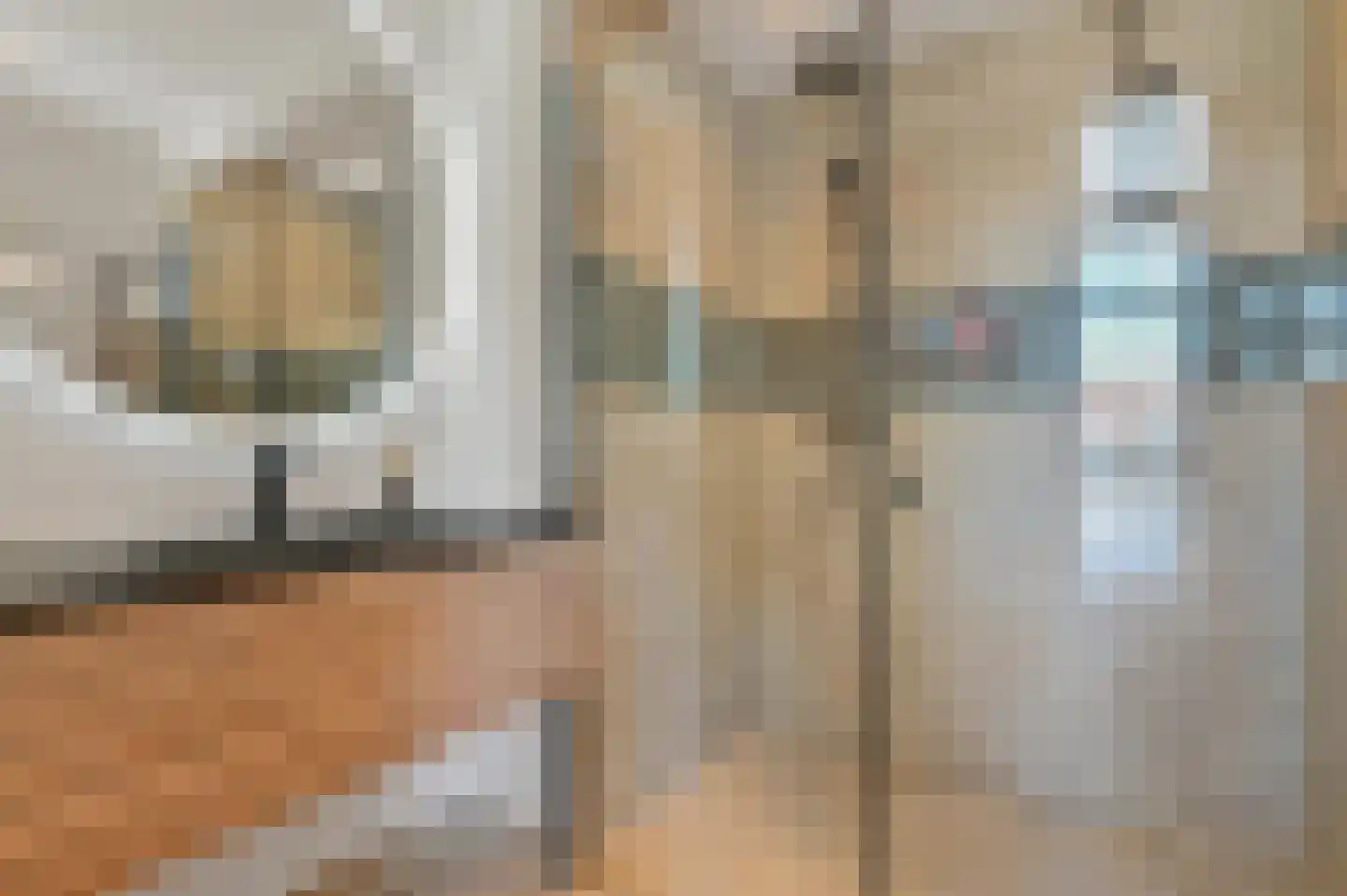 Pisuissestraat 35 Den Haag thumbnail 4