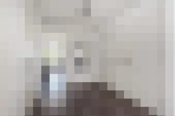 Pisuissestraat 399 Den Haag thumbnail 7