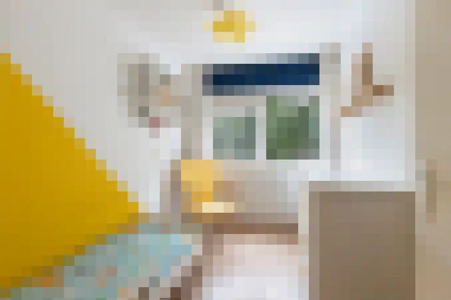 Pisuissestraat 48 Rotterdam thumbnail 27