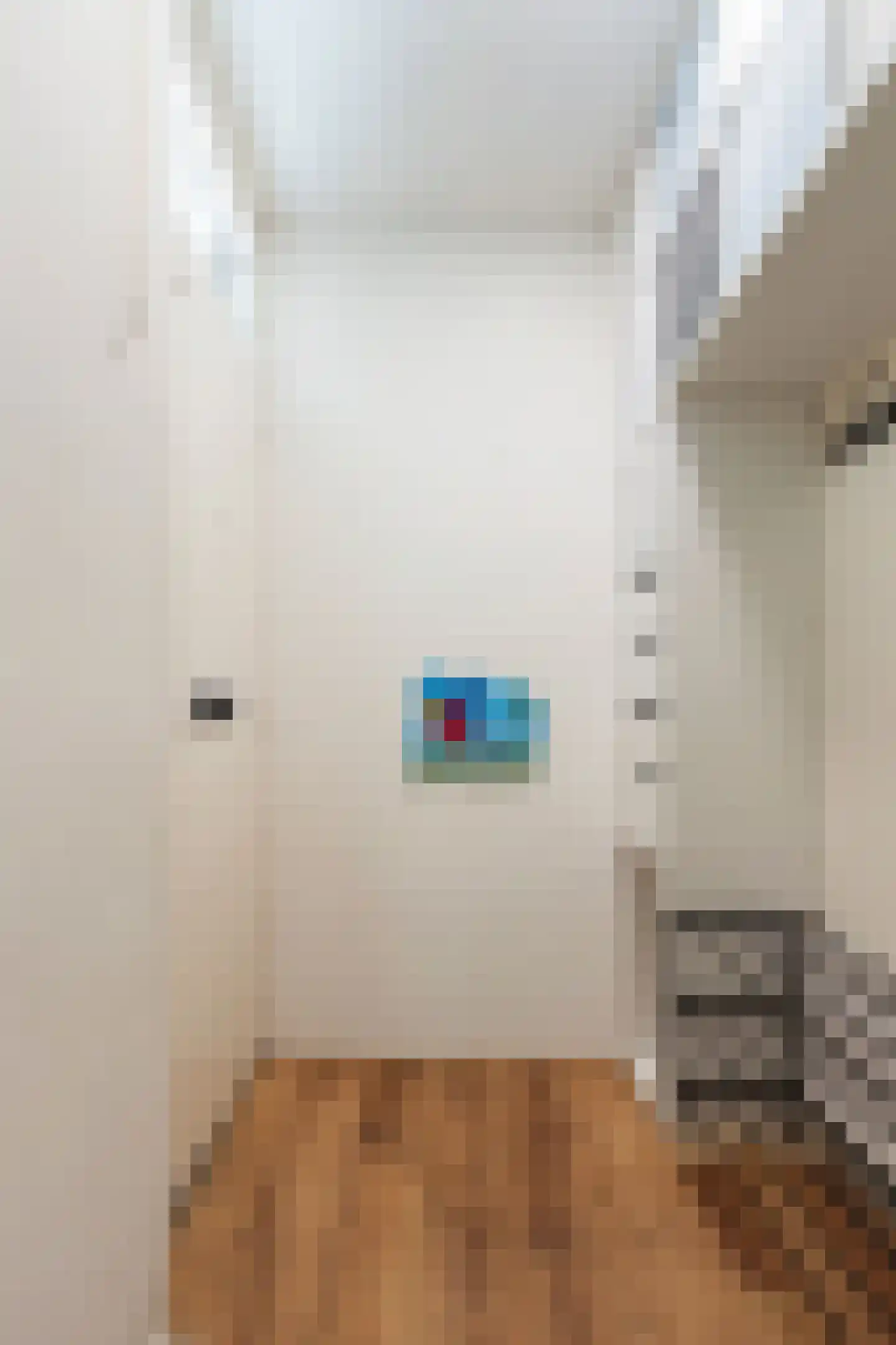 Pisuissestraat 48 Rotterdam thumbnail 5