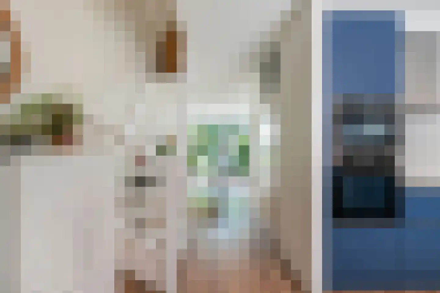 Pisuissestraat 48 Rotterdam thumbnail 6
