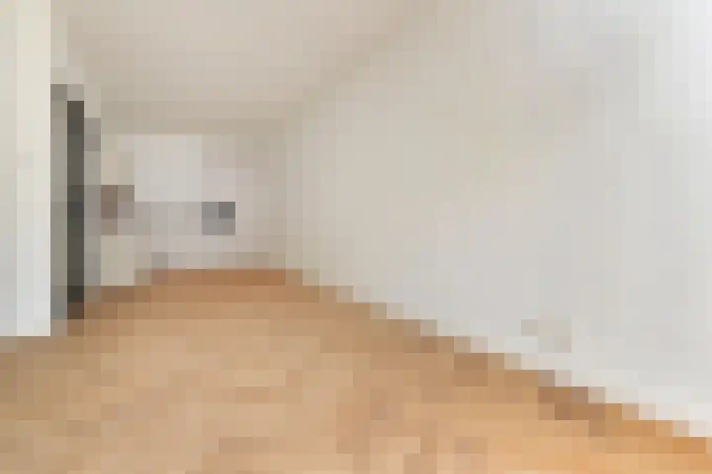 Pisuissestraat 67 Den Haag thumbnail 11